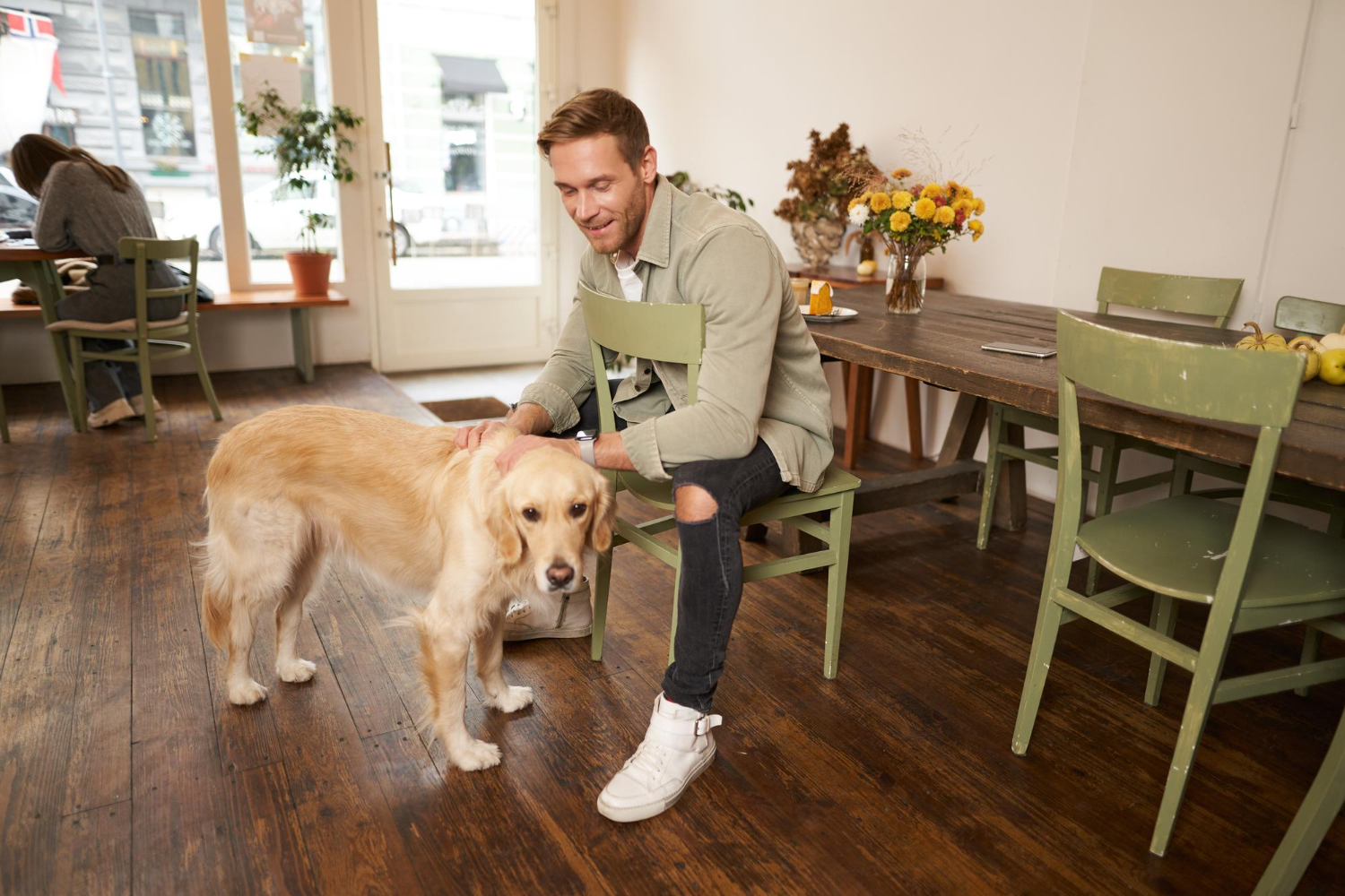 work at a doggy day care in paris france