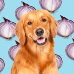 are onions bad for dogs